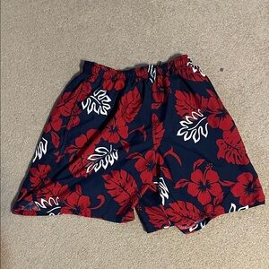 Speedo Men's Swim Trunks - Red Floral on Blue